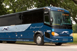 Greyhound Bus